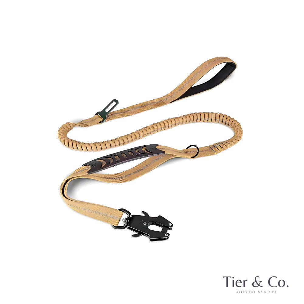4-in-1 Bungee-Hundeleine – Stoßdämpfend, reflektierend & extra robust