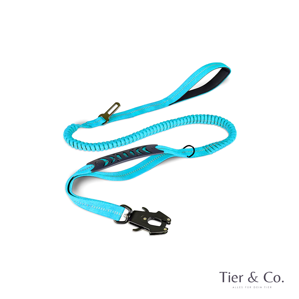 4-in-1 Bungee-Hundeleine – Stoßdämpfend, reflektierend & extra robust