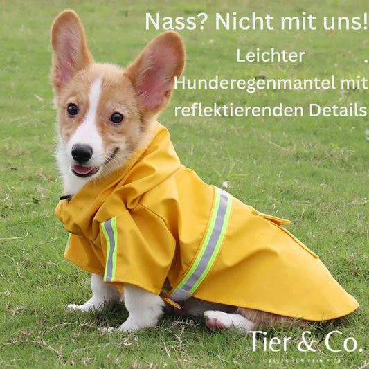 Regenmantel mit Kapuze für große Hunde und Welpen - Wasserdicht + Reflektierend + Winddicht.
