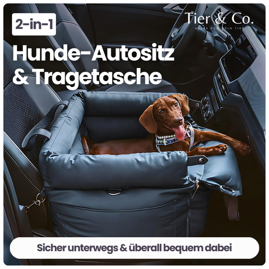 2-in-1 Autositz & Tragetasche für Hunde & Katzen – Sicher reisen & überall entspannt dabei