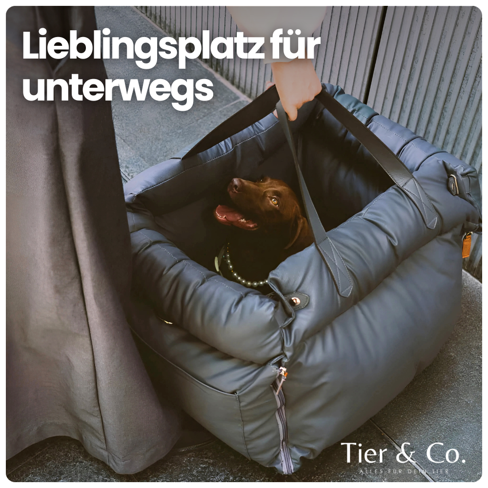 2-in-1 Autositz & Tragetasche für Hunde & Katzen – Sicher reisen & überall entspannt dabei