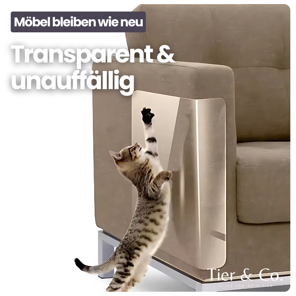 Anti-Kratz-Folie für Katzen – Transparenter Möbelschutz & Training