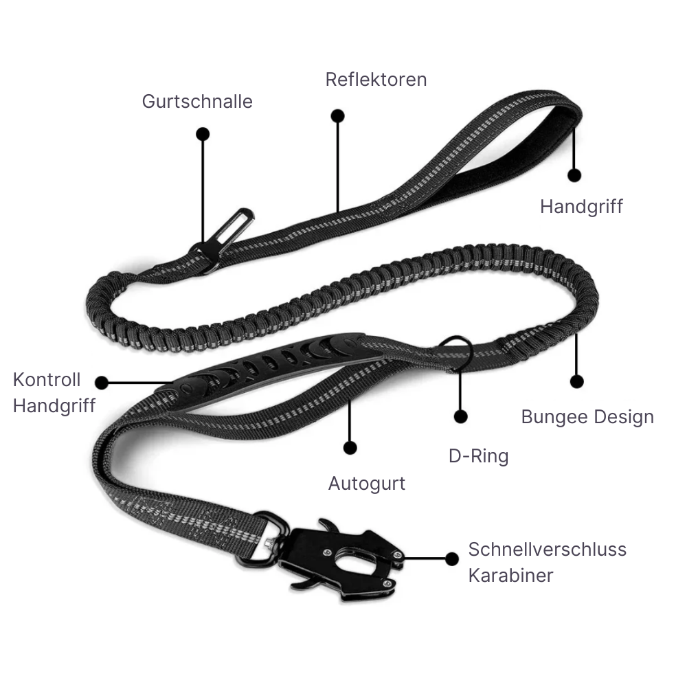 4-in-1 Bungee-Hundeleine – Stoßdämpfend, reflektierend & extra robust