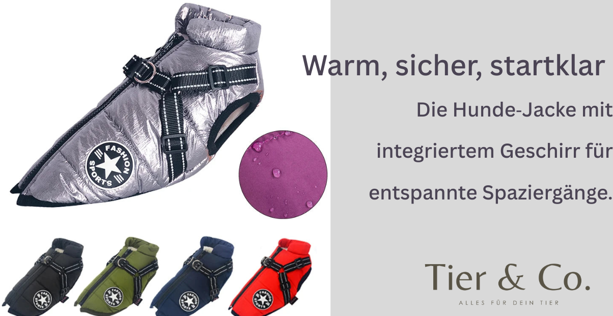 Warme Hundejacke mit intergrierrtem Geschirr