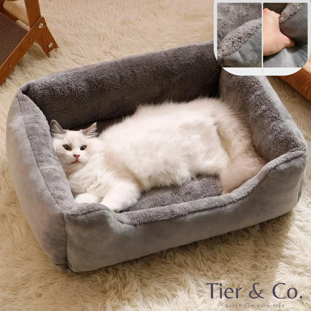 Polsterbett für kleine Hunde & Katzen weich und gemütlich, waschbar