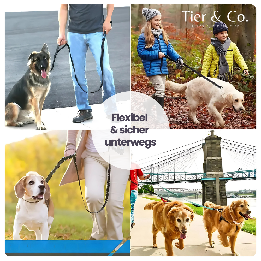 4-in-1 Bungee-Hundeleine – Stoßdämpfend, reflektierend & extra robust