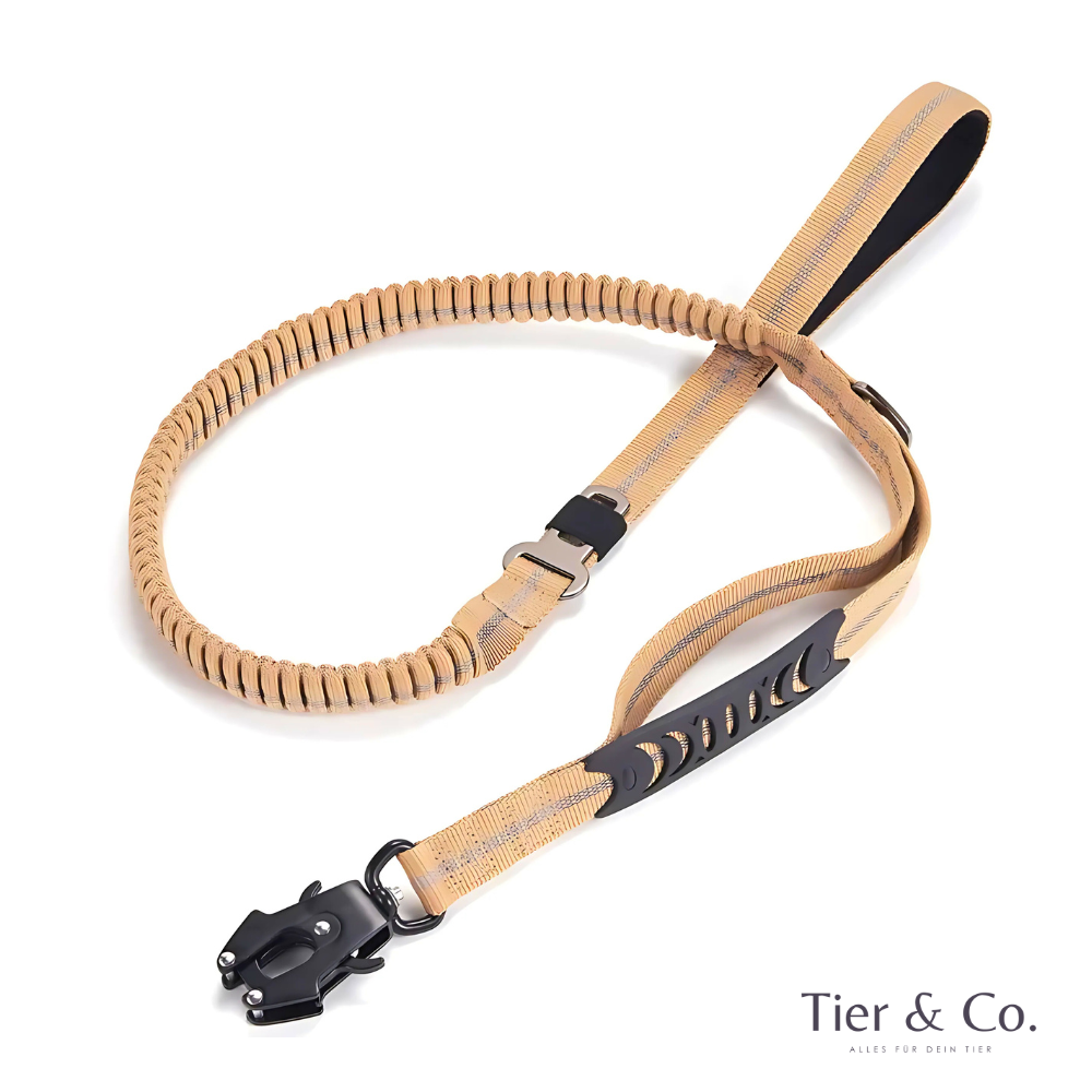4-in-1 Bungee-Hundeleine – Stoßdämpfend, reflektierend & extra robust