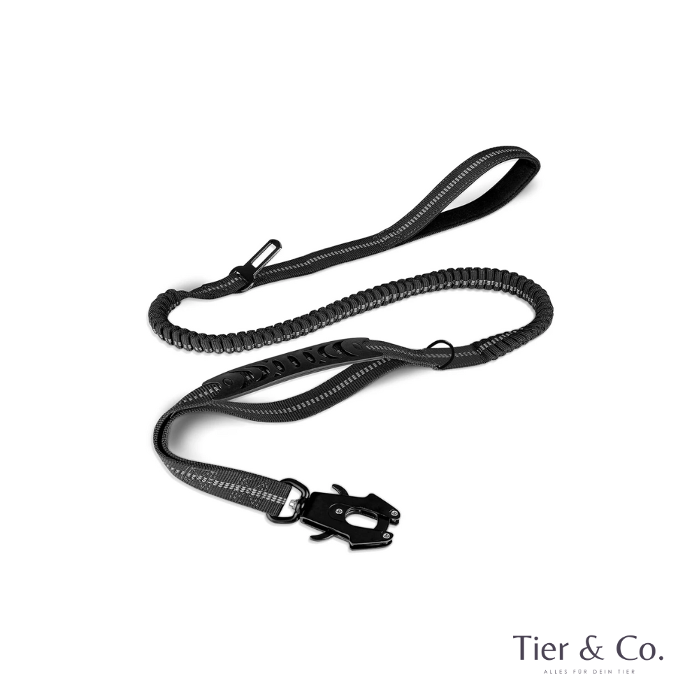 4-in-1 Bungee-Hundeleine – Stoßdämpfend, reflektierend & extra robust
