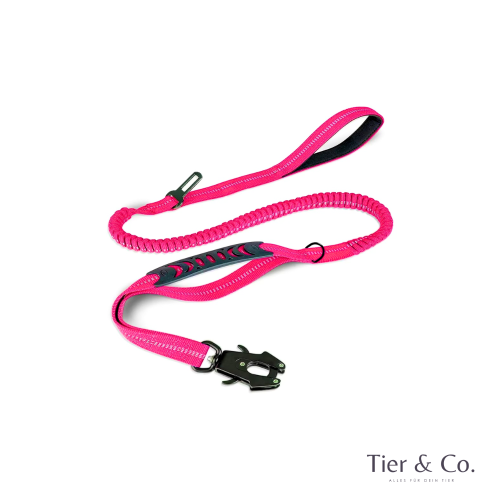 4-in-1 Bungee-Hundeleine – Stoßdämpfend, reflektierend & extra robust