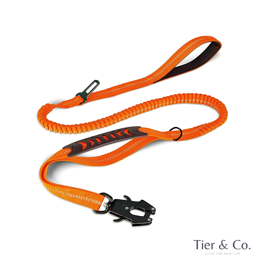4-in-1 Bungee-Hundeleine – Stoßdämpfend, reflektierend & extra robust