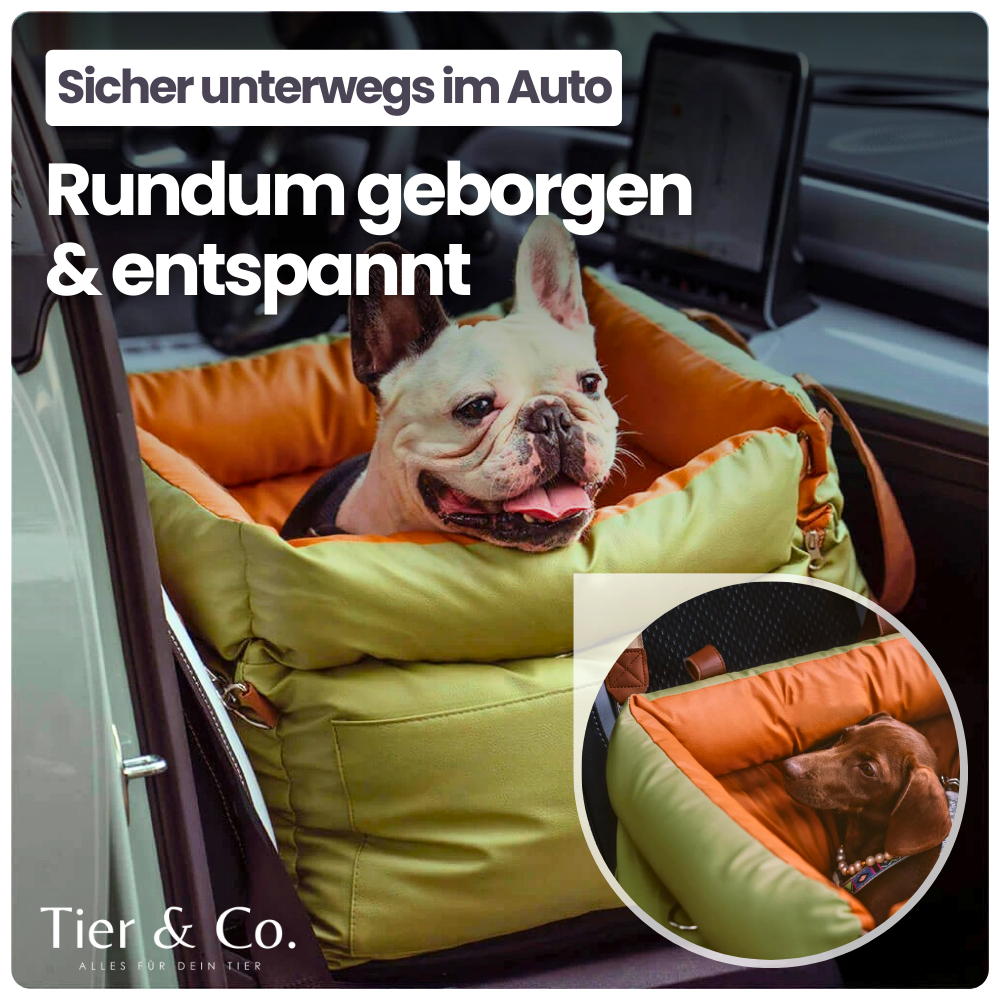 2-in-1 Autositz & Tragetasche für Hunde & Katzen – Sicher reisen & überall entspannt dabei