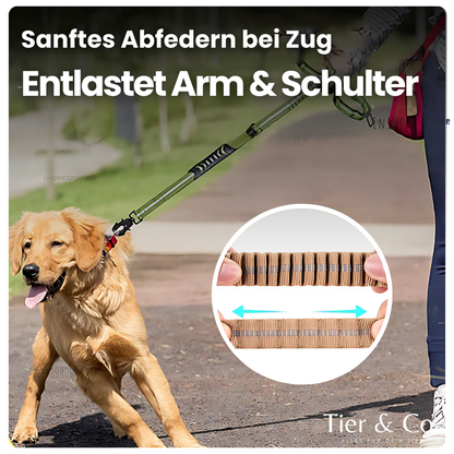 4-in-1 Bungee-Hundeleine – Stoßdämpfend, reflektierend & extra robust