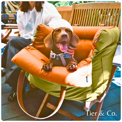 2-in-1 Autositz & Tragetasche für Hunde & Katzen – Sicher reisen & überall entspannt dabei