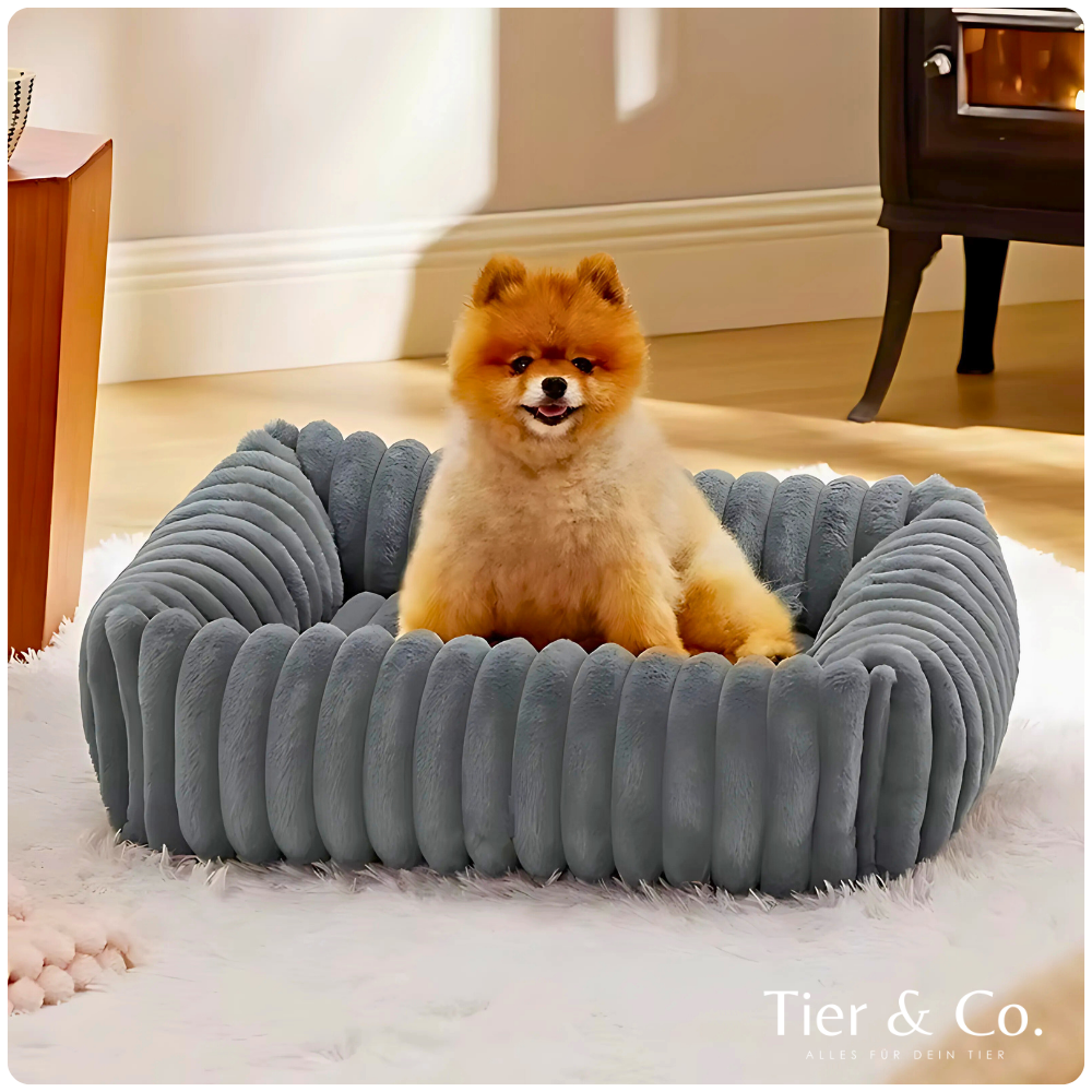 Haustierbett für Hunde & Katzen – Weiches Plüschbett mit waschbarem Bezug
