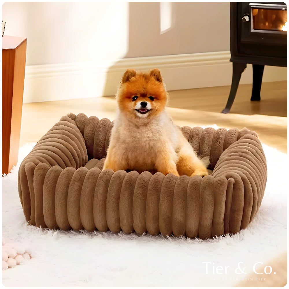 Haustierbett für Hunde & Katzen – Weiches Plüschbett mit waschbarem Bezug