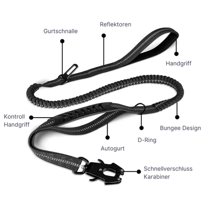 4-in-1 Bungee-Hundeleine – Stoßdämpfend, reflektierend & extra robust