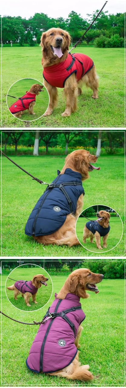 Warme Hundejacke mit intergrierrtem Geschirr