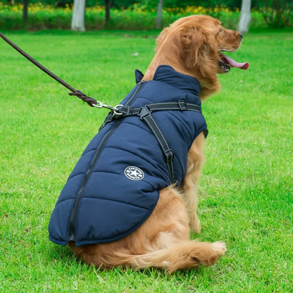 Warme Hundejacke mit intergrierrtem Geschirr