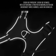 Hundegeschirr ohne Zug - reflektierend, verstellbar und weich gepolstert