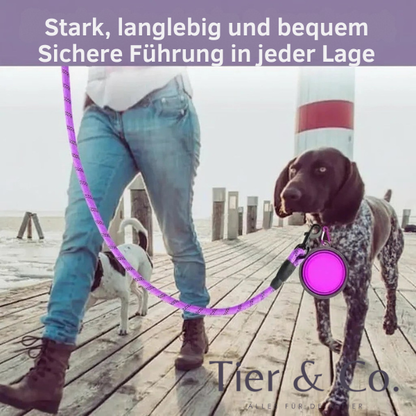 Refeltierende Robuste und Stylische Hundeleine - verschiedene Farben