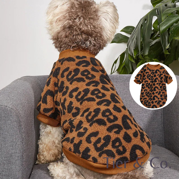 Leo Pulli - ein Must-Have für die kalte Jahreszeit