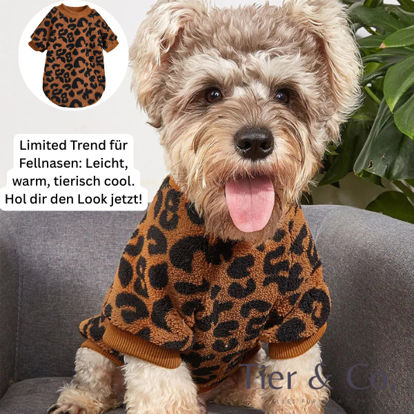 Leo Pulli - ein Must-Have für die kalte Jahreszeit