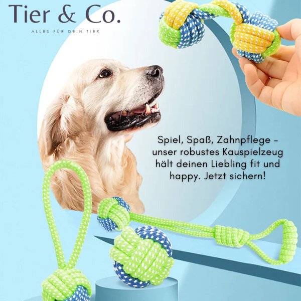 Kauspielzeug - Robuste Baumwollseile mit praktischen Bällen und speziellen Kauteilen