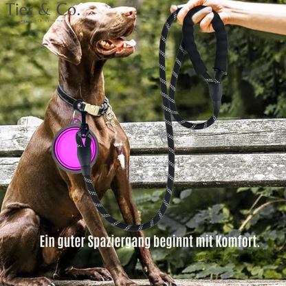 Refeltierende Robuste und Stylische Hundeleine - verschiedene Farben