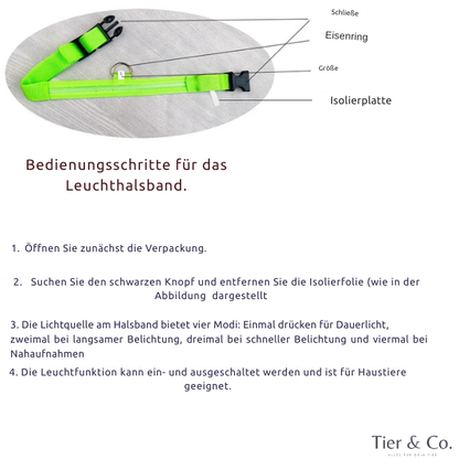 LED - Hundehalsband