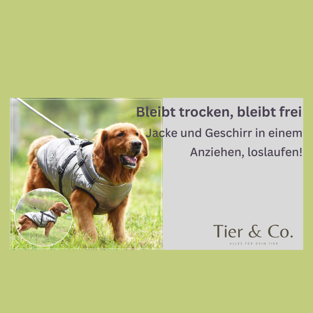 Warme Hundejacke mit intergrierrtem Geschirr