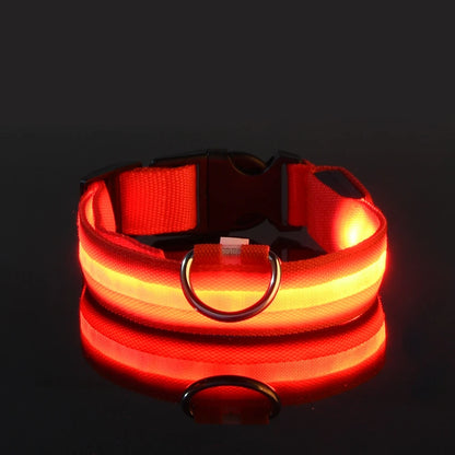 LED - Hundehalsband
