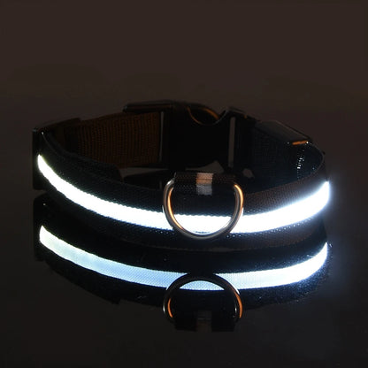 LED - Hundehalsband