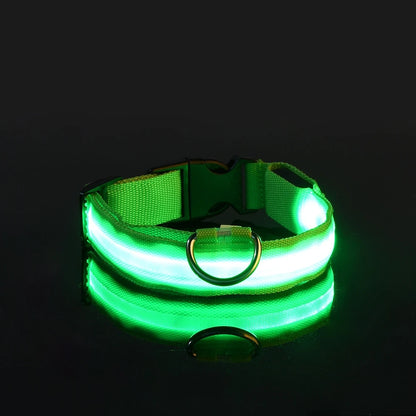 LED - Hundehalsband