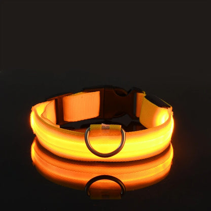 LED - Hundehalsband