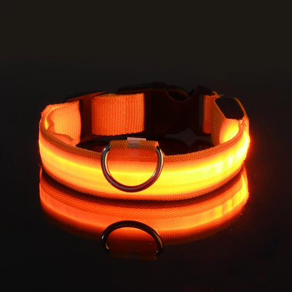 LED - Hundehalsband