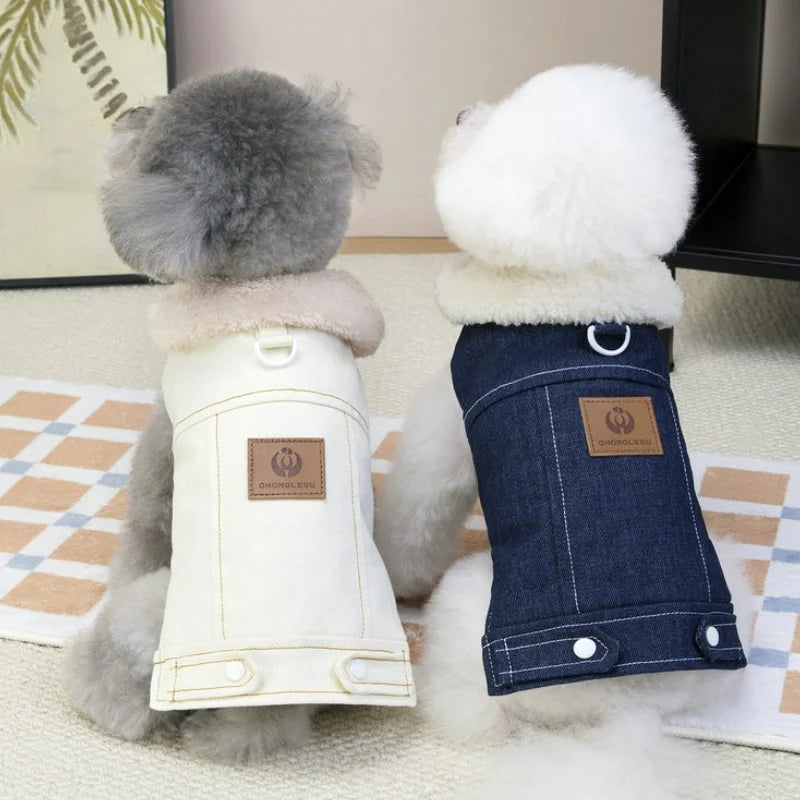 Winterjacke für Hunde und Katzen - Stylisch im Denim -Look