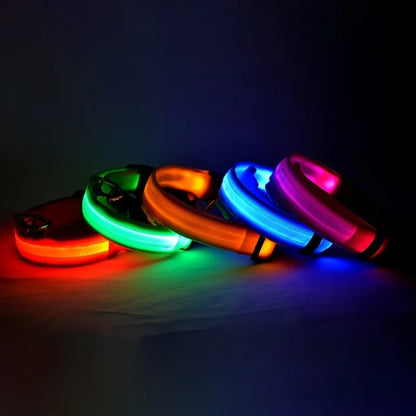 LED - Hundehalsband