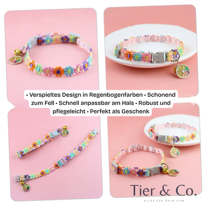 Süße Halsketten für Katzen & Welpen mit entzückendem Glockenanhänger