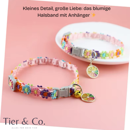Süße Halsketten für Katzen & Welpen mit entzückendem Glockenanhänger