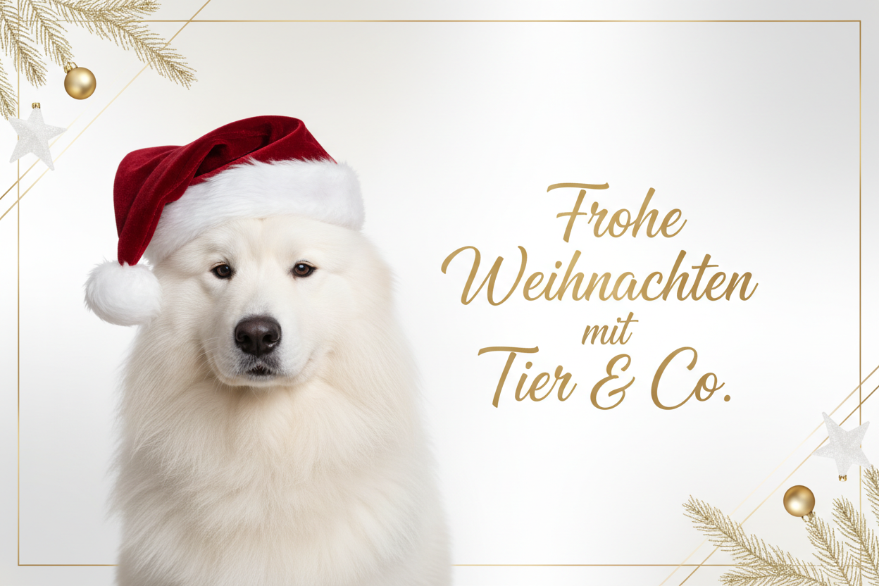 Weihnachts-Banner mit Haustier und Slogan