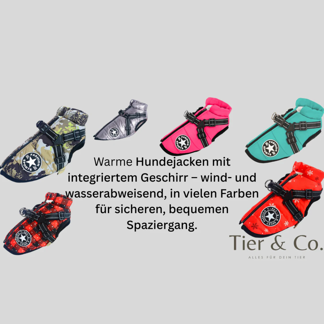 Warme Hundejacke mit intergrierrtem Geschirr