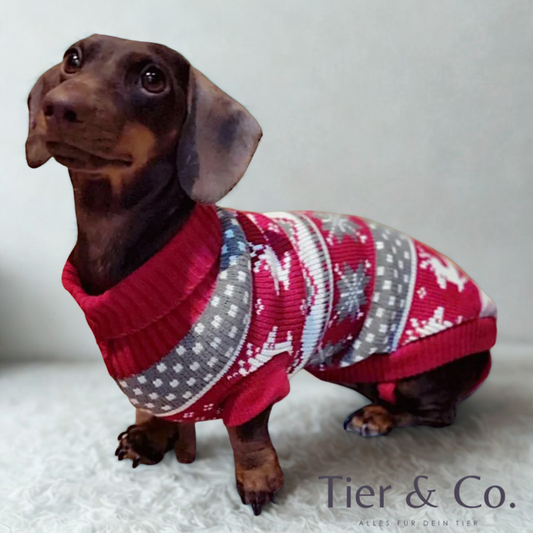 Winter Pullover - perfekt für die gemütliche Weihnachtszeit